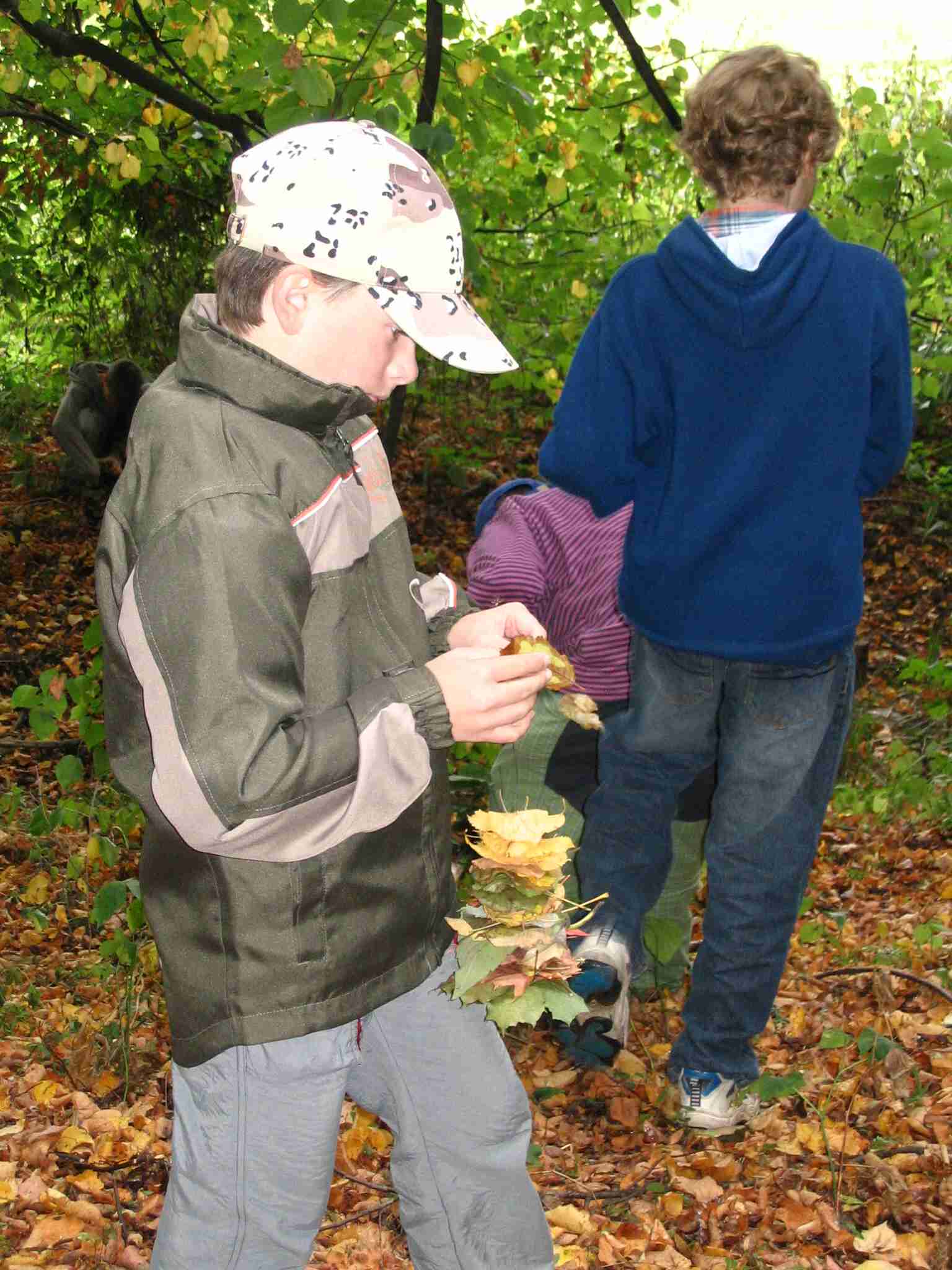 08.jpg