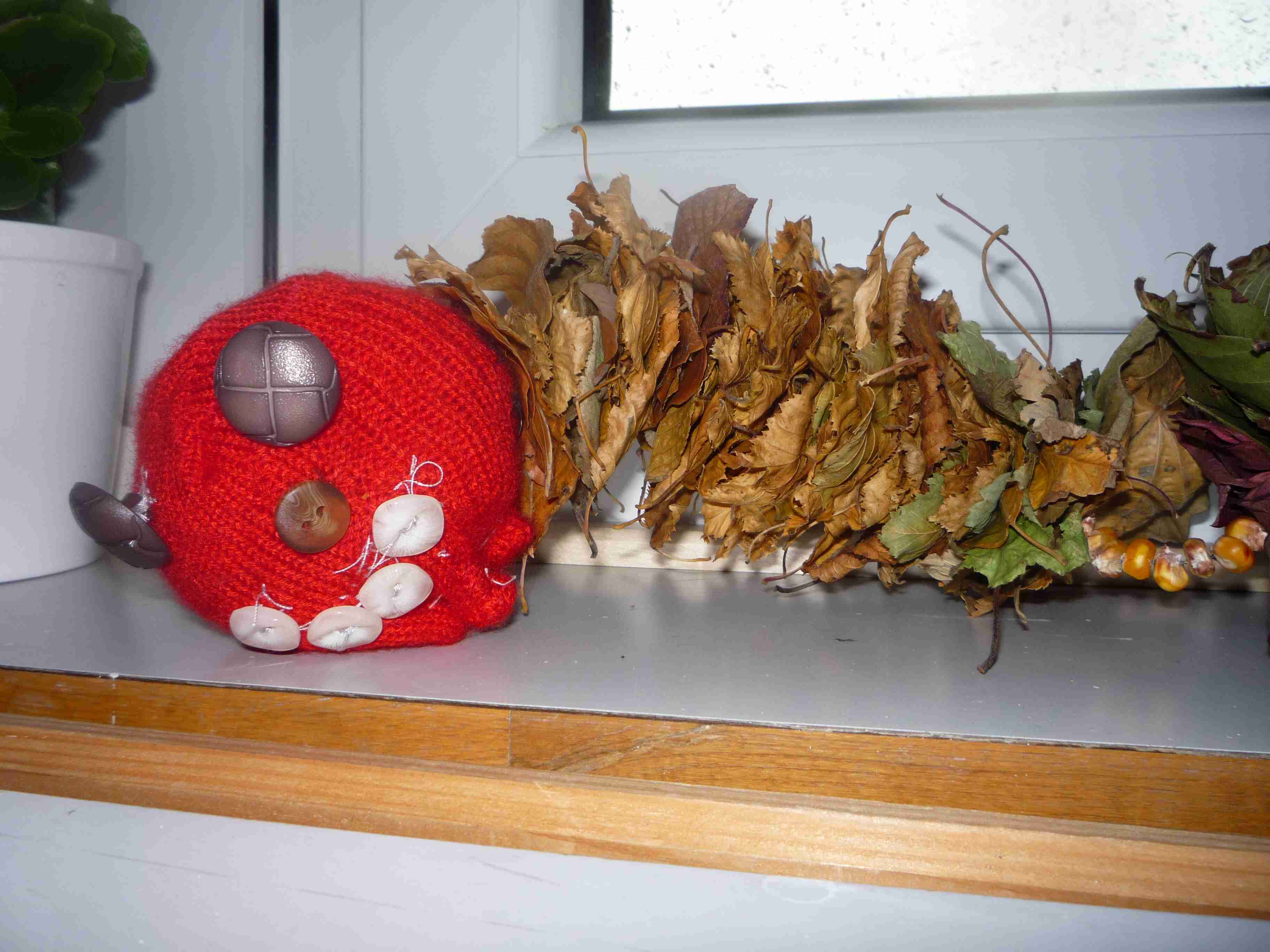 P1000884.jpg
